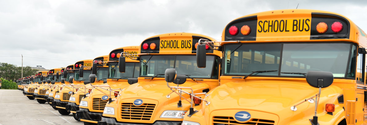 school-bus-img01